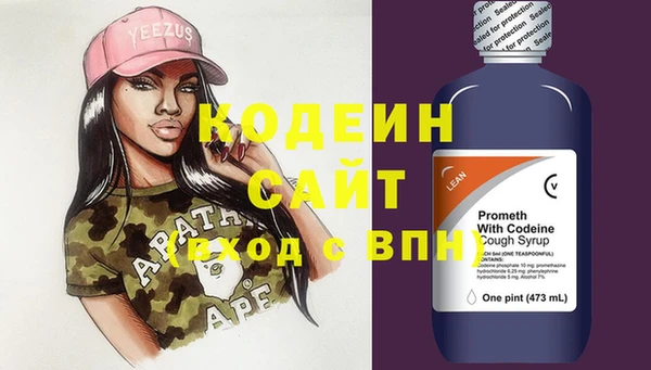 хмурый Бородино