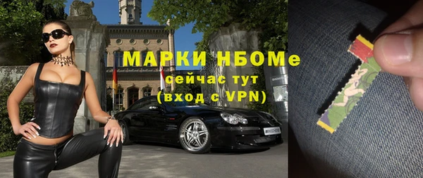 хмурый Бородино