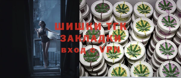хмурый Бородино
