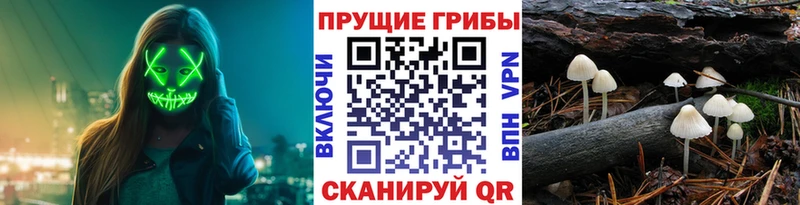 Псилоцибиновые грибы мицелий  Магнитогорск 